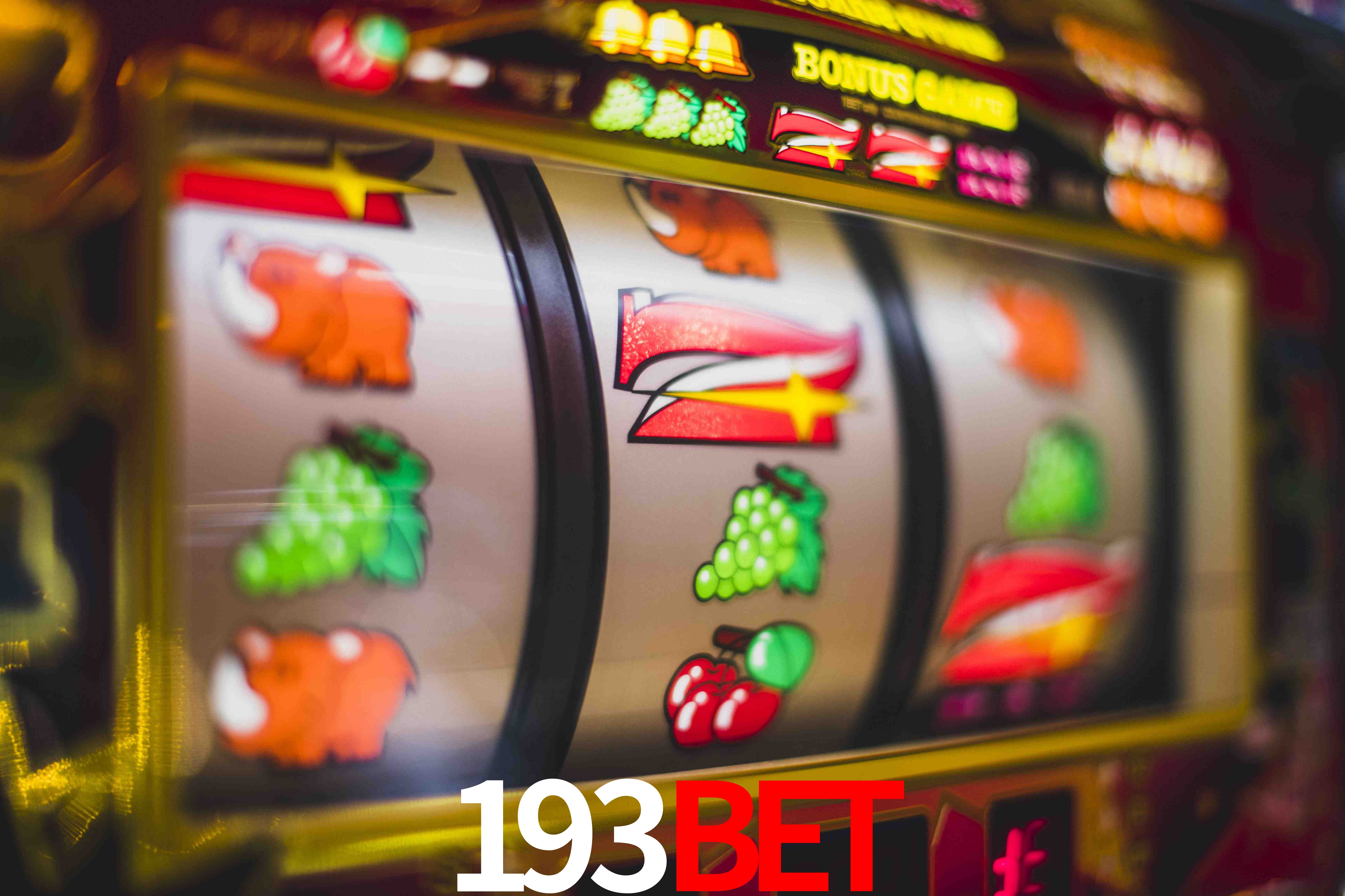 Experiência VIP 193bet